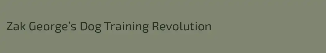 Zak George’s Dog Training Revolution